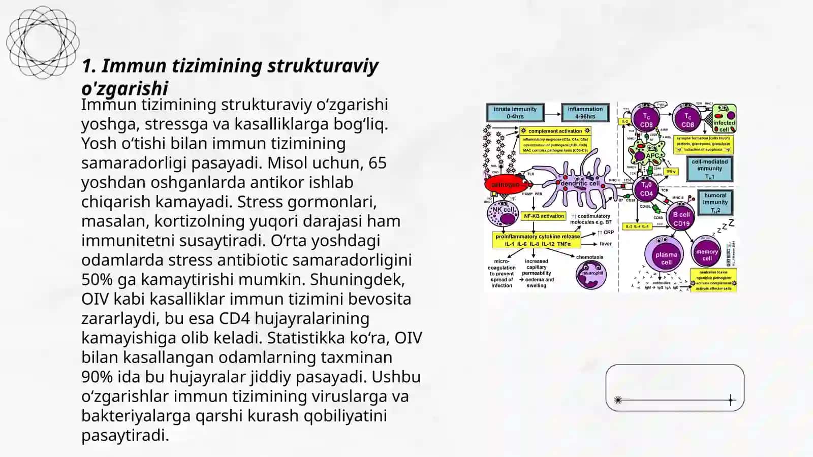 Immun shikastlanishi 3