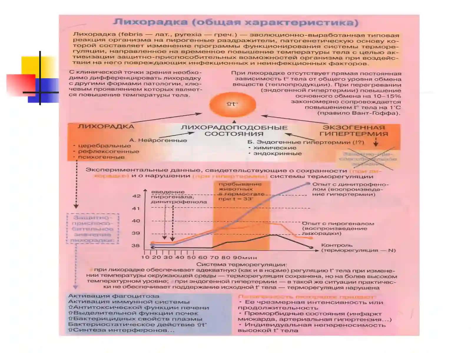 Терморегуляция ва унинг бузилиши 3
