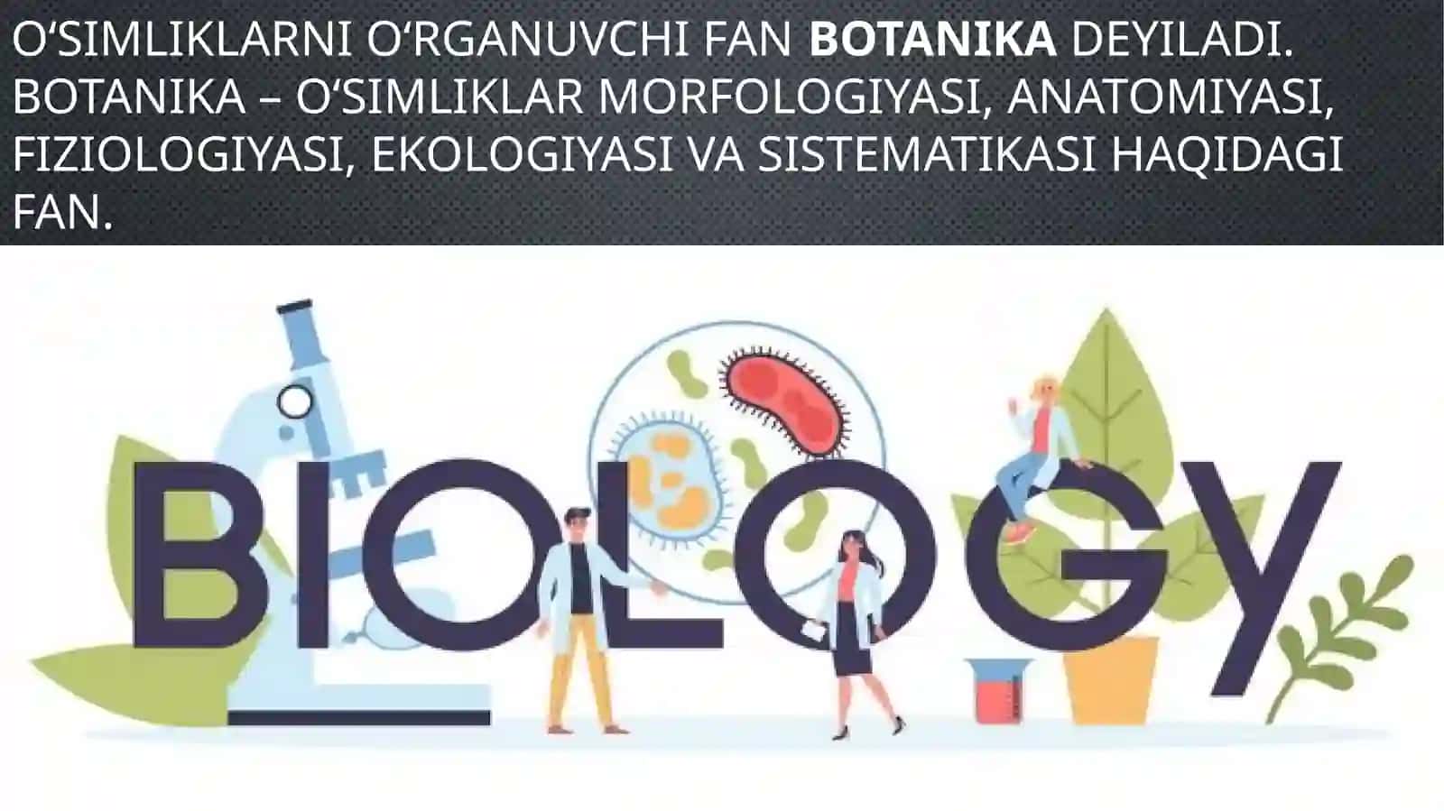 6-sinf Botanika (Tabiiy fan) O'simliklar dunyosi mavzuda dars taqdimoti 3