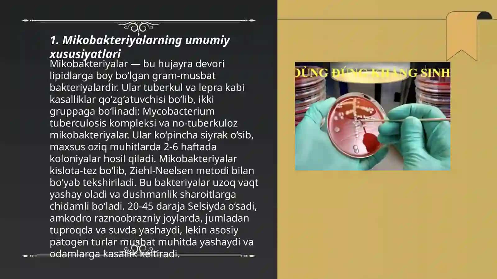 Havo-tomchi bakterial yuqumli kasallik qo‘zg‘atuvchilari (Mikobakteriyalar va aktinomitsetlar) 3