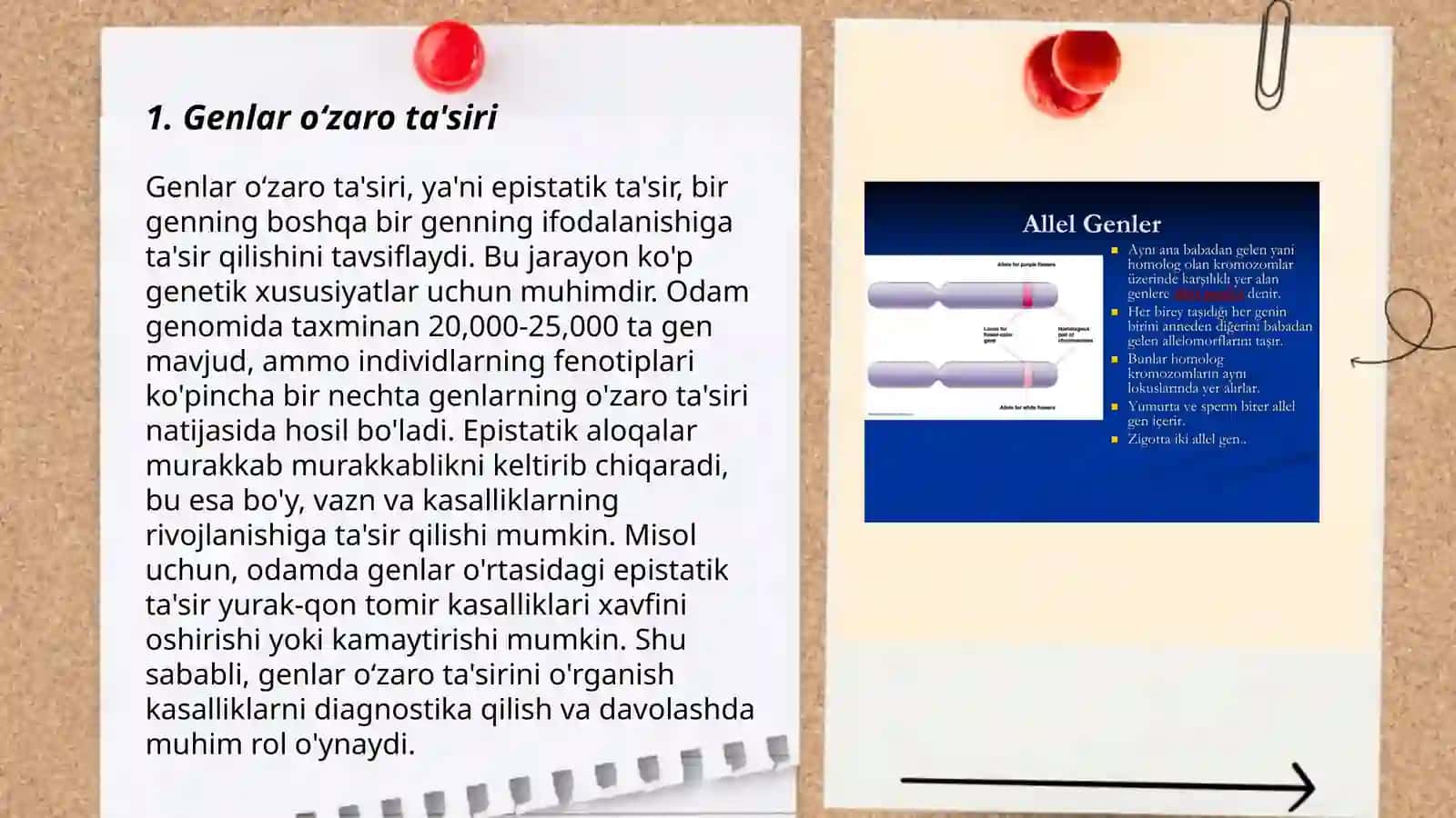 Allel boʻlmagan genlar oʻzaro tasirida epistatik tipda belgilarni irsiylanishi 3