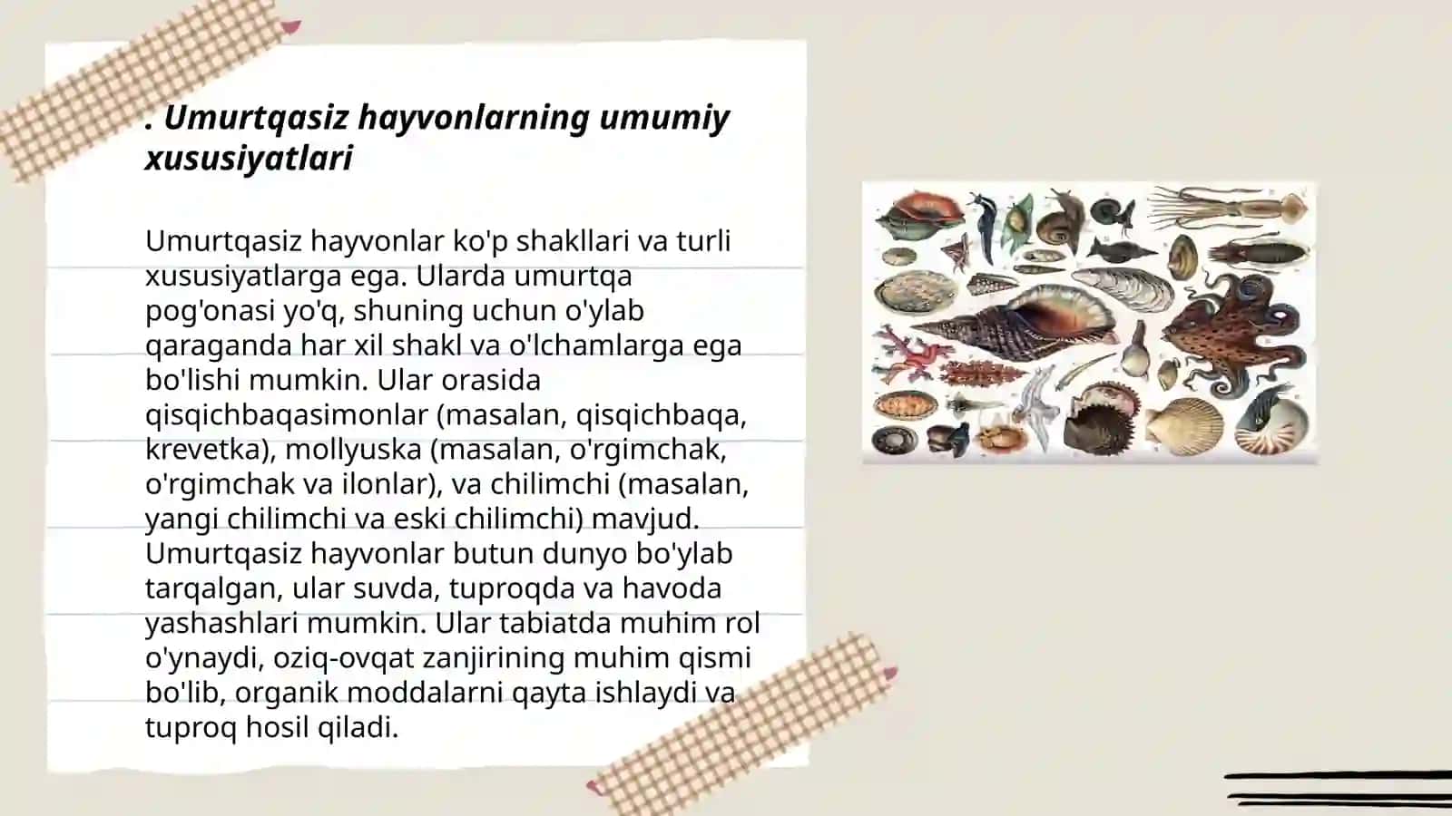Umurtqasiz xayvonlar tiplari yuzasidan masala va mashqlar 3