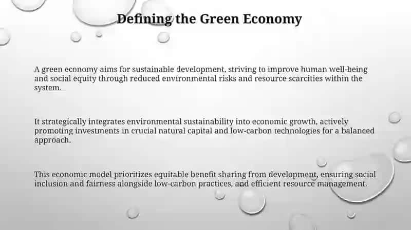 The concept of "Green Economy" 3