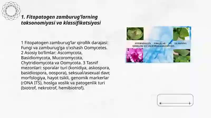 Fitopatogen zamburug'lar o'rganish va ularning ro'yxatini tuzish 3