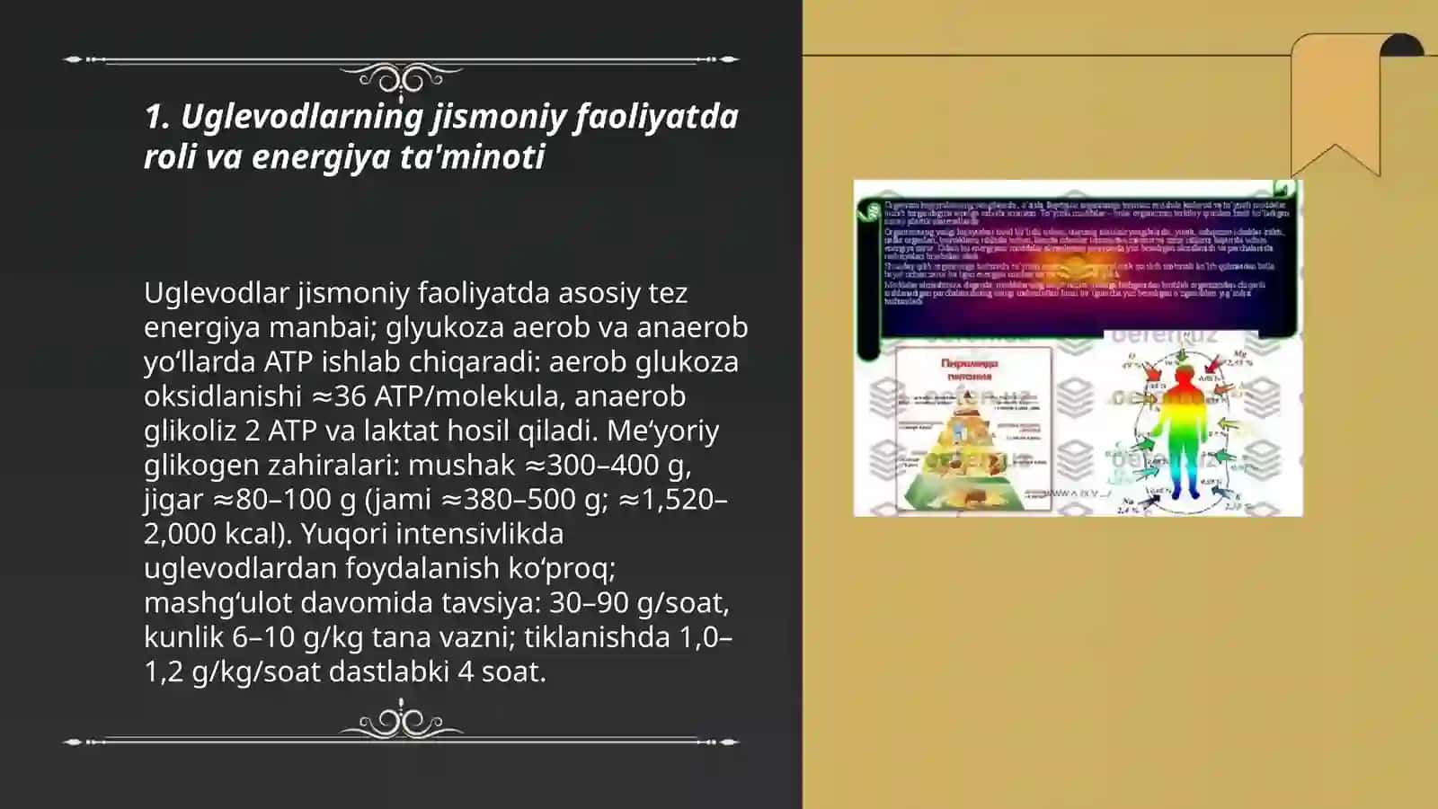 Uglevodlarning jismoniy faoliyatda roli va energiya ta'minoti 3
