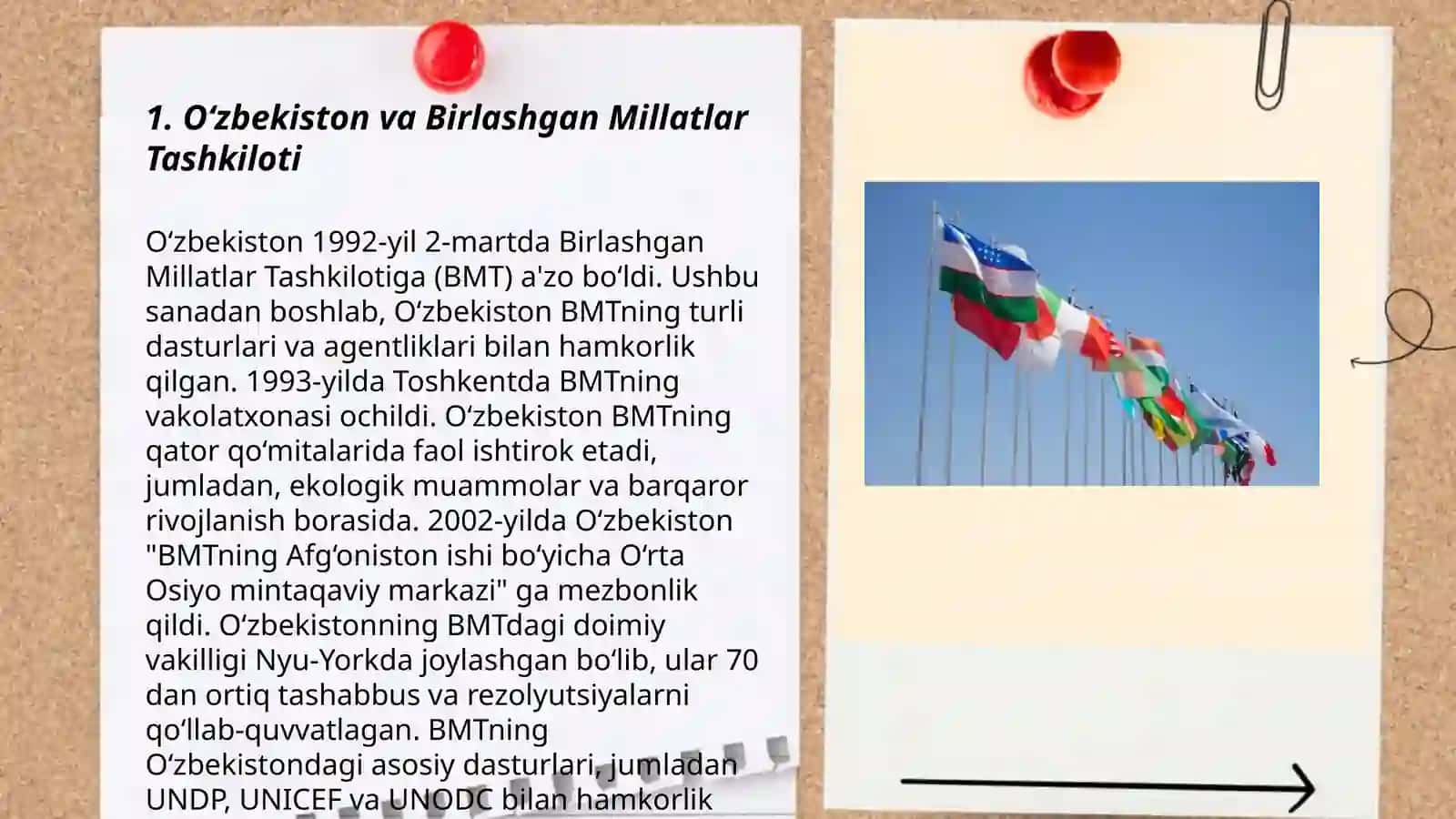 O‘zbekiston va Birlashgan Millatlar Tashkiloti 3