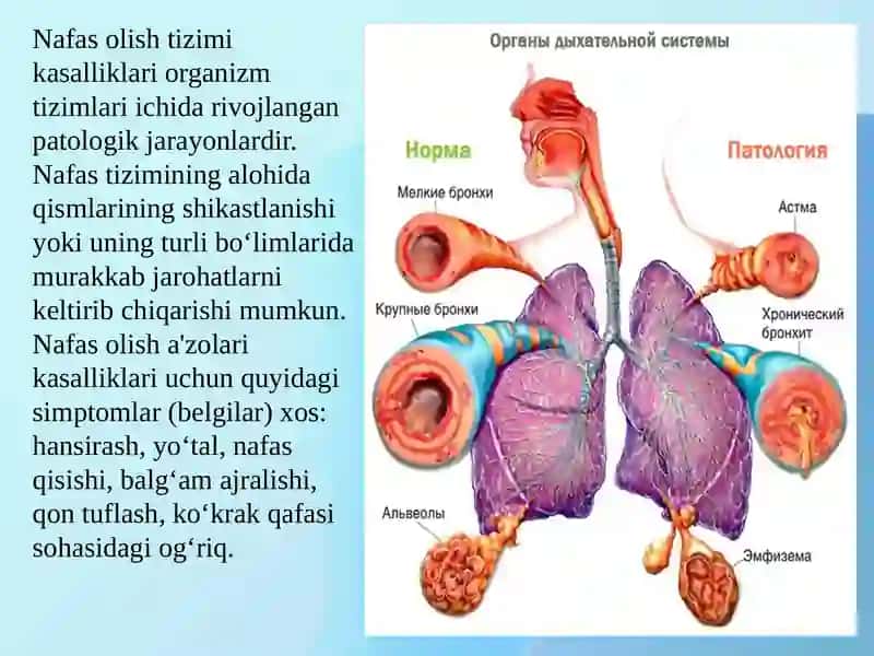 Sport tibbiyotiva bioximya kafedrasi 3