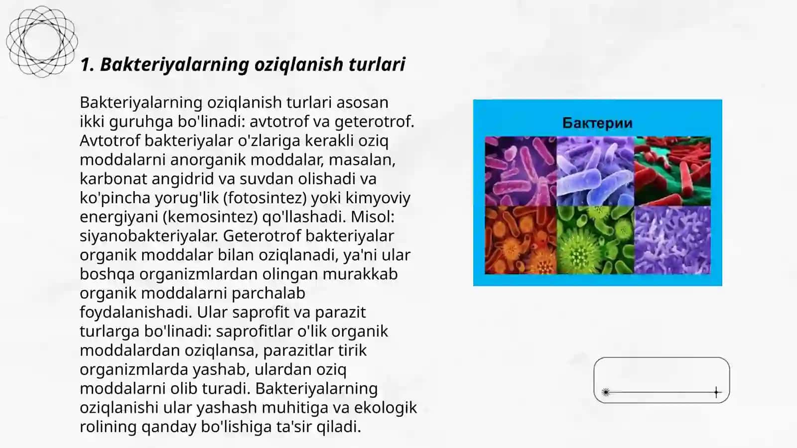 Bakteriyalarning oziqlanishi 3
