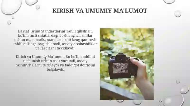 Davlat Ta'lim Standartlarini Tahlil qilish 3