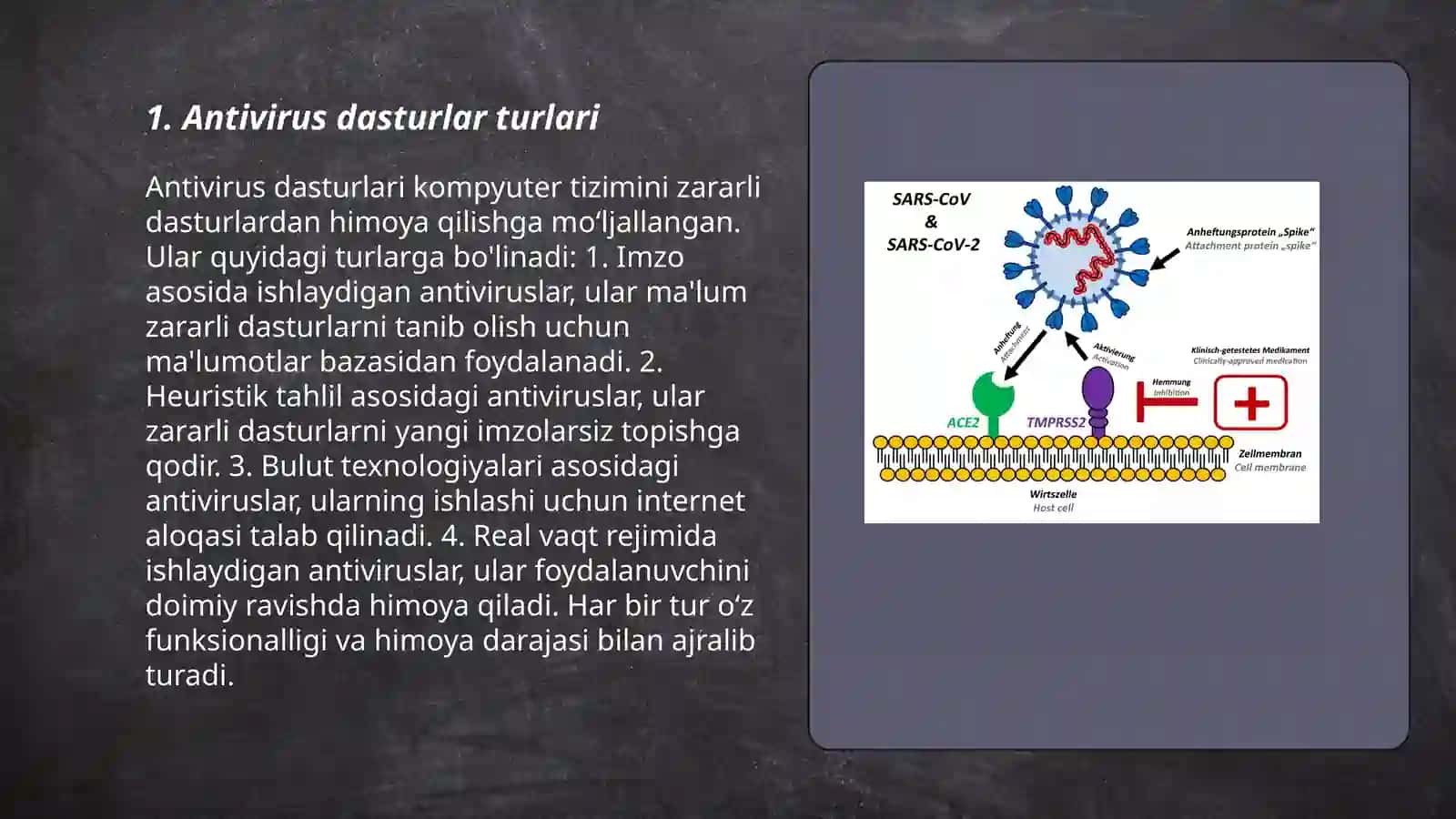 Viruslarga qarshi vositalar 3