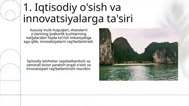 Iqtisodiy islohatlar,xususiy mulkdorchilikning shakillanishi 3
