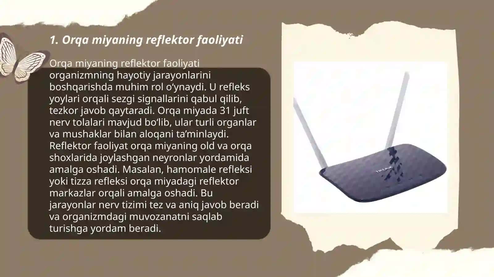 Orqa miyaning reflektor va oʻtkazuvchi yoʻl faoliyati, tekshirish usullari 3