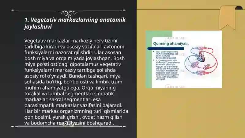 Vegetativ Oliy Markazlar va Ularning Funktsional Ahamiyati 3