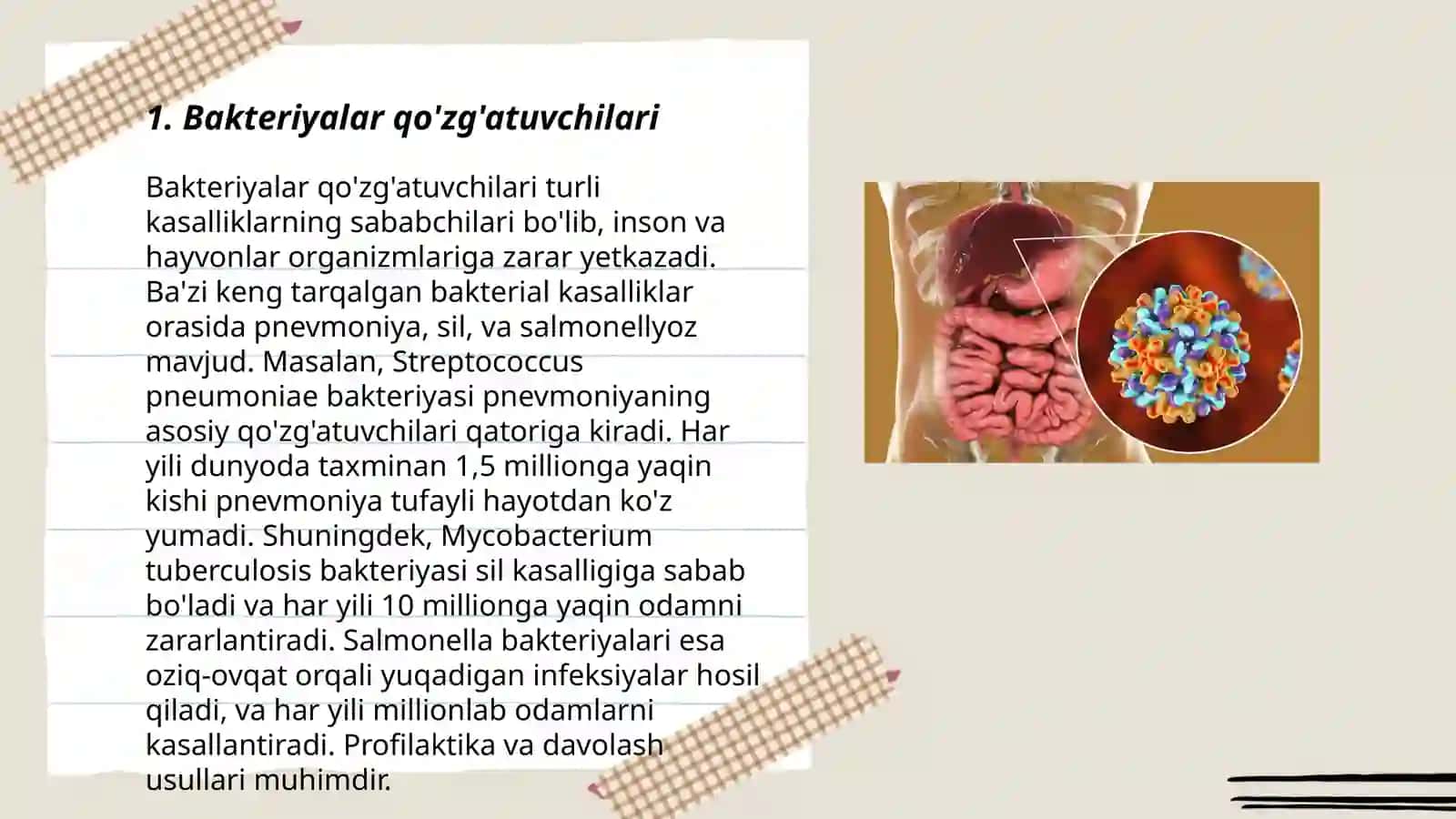 Bakteriyalar qo'zg'atuvchilari 3