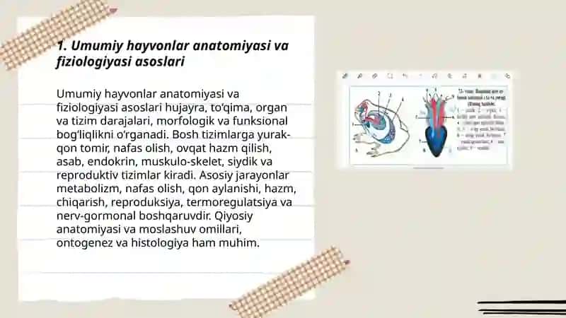 Umumiy hayvonlar anatomiyasi va fiziologiyasi asoslari 3