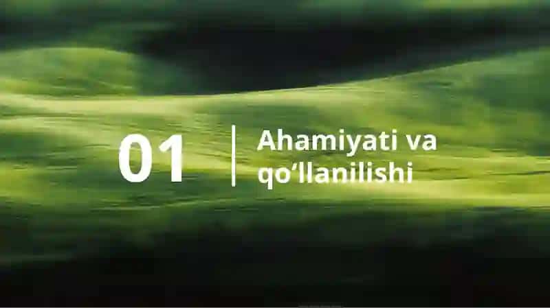 Makkajoʻxorini yem hashak uchun yetishtirish 3