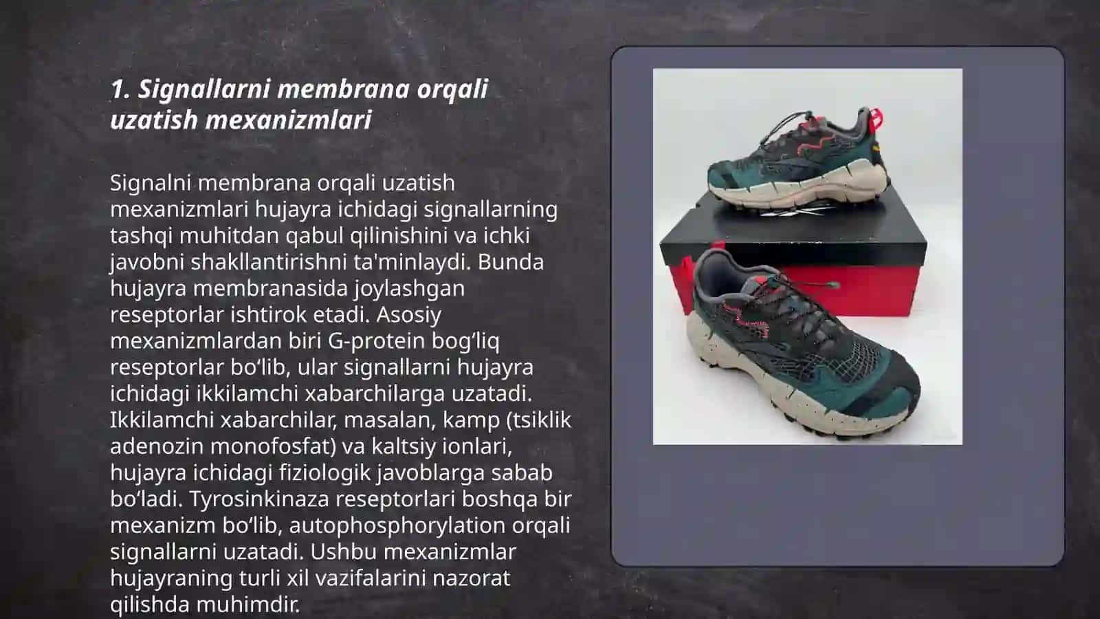Signallarni membranalar orqali ótkazilishi 3