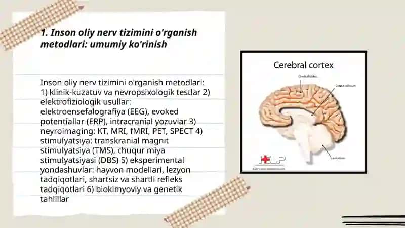 Inson oliy nerv tizimi tadqiq qilish metodlari 3