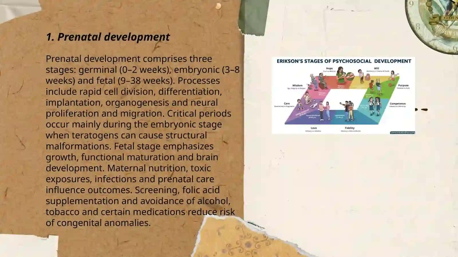 Human development 3