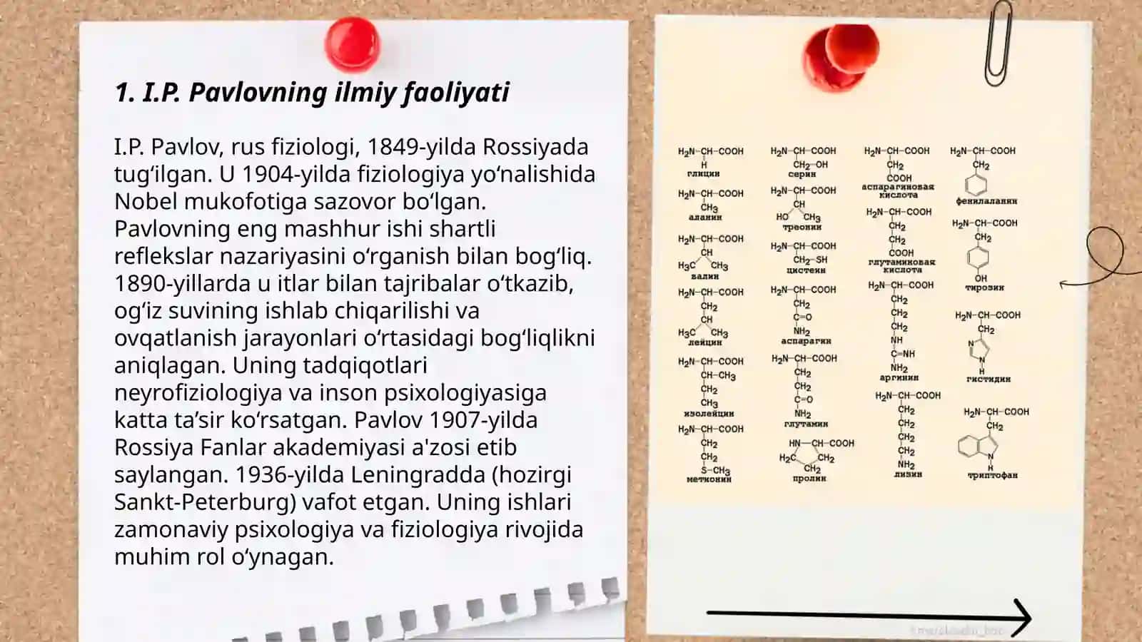 Oliy asab faoliyati xaqida I.P.Pavlovning taʼlimoti 3