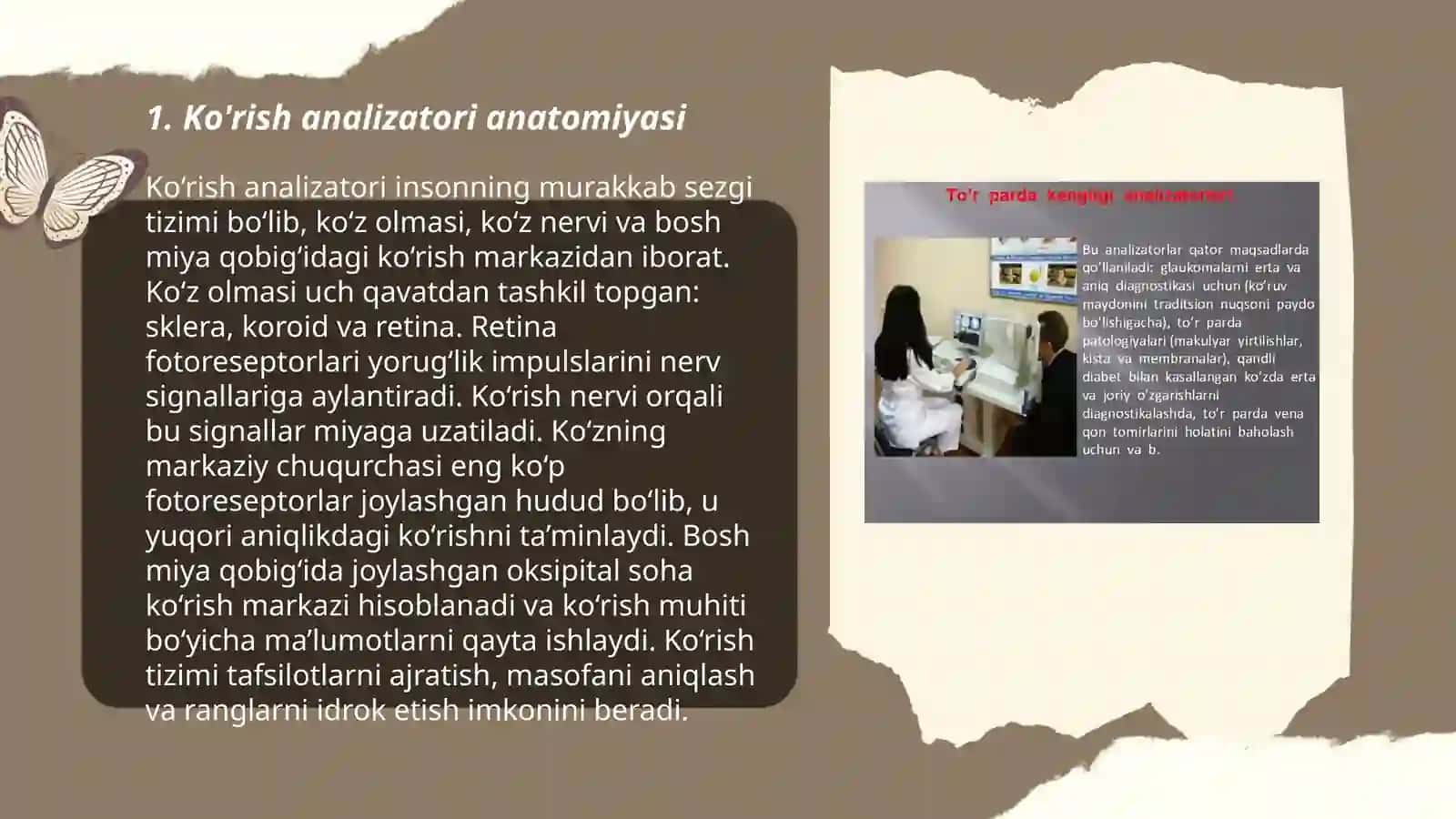 Ko'rish va eshitish analizatorlari 3