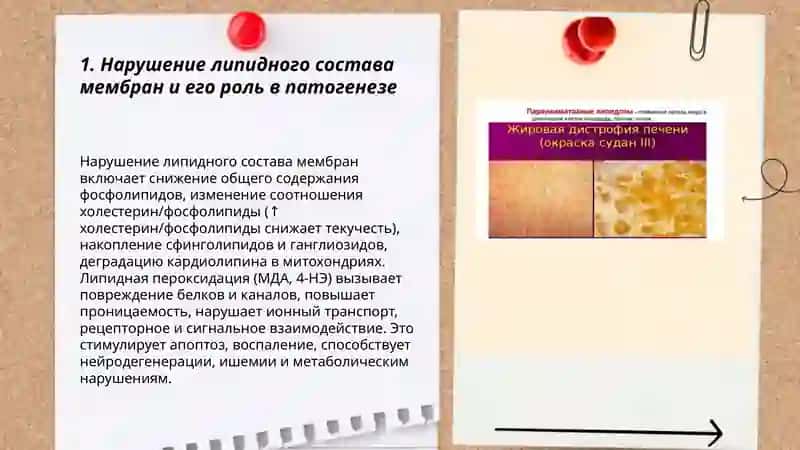Роль мембранных нарушений в возникновении патологического процесса 3