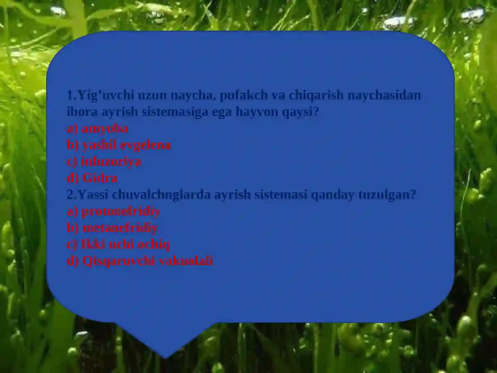 Hayvonlar jinsiy organlarining evolyutsiyasi 3