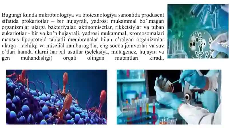 BAKTERIYALARNINGSHAKLI, HUJAYRA TUZILISHI VA HARAKATLANISHI 3
