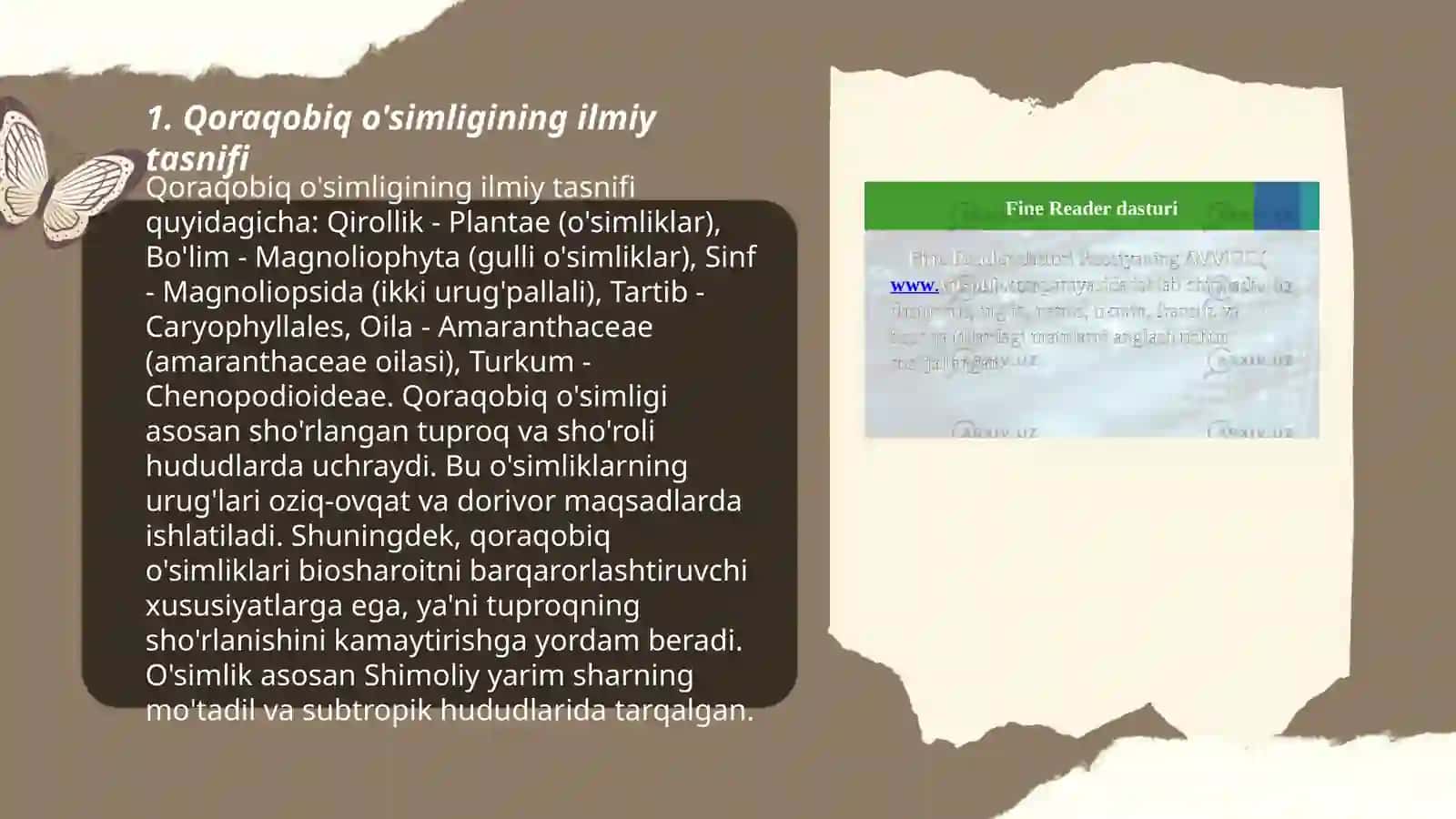 Qoraqobiq o’simligining botanik tavsifi va yetishtirish texnologiyasi 3
