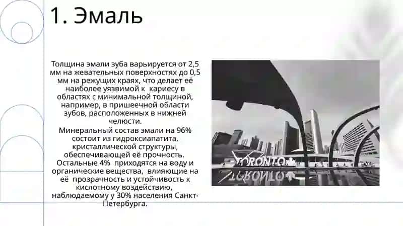 Строение зуба 3