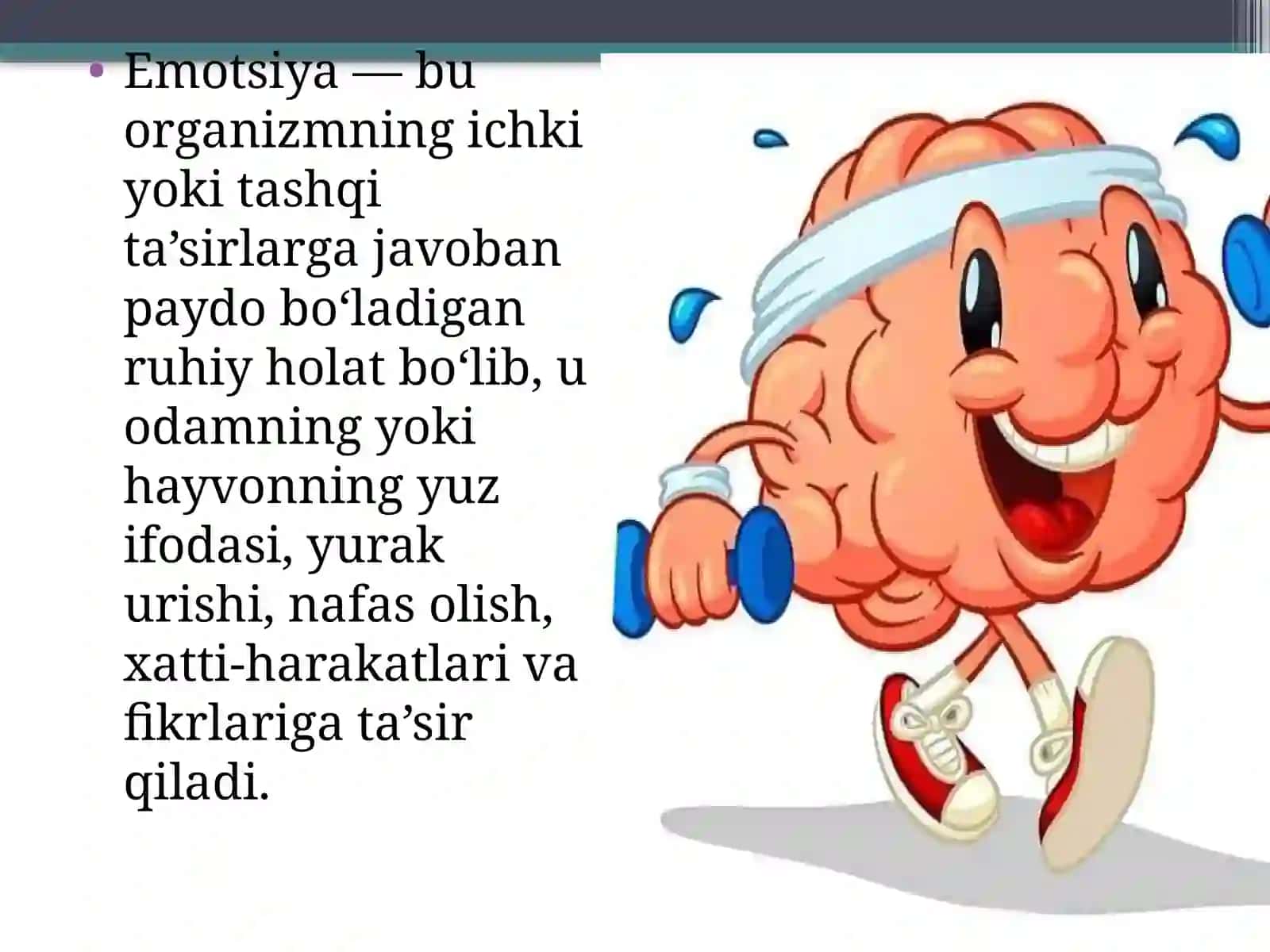 Inson va hayvonlardagi emotsiyalar 3
