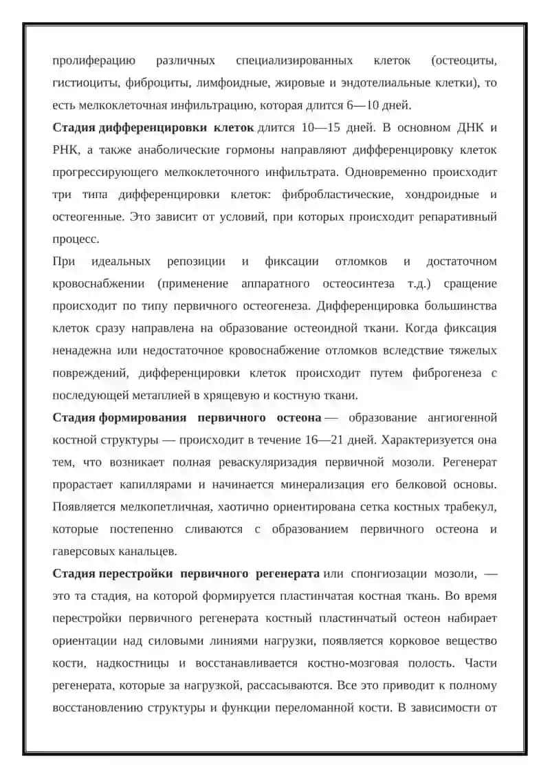 Регенерация костной ткани 3