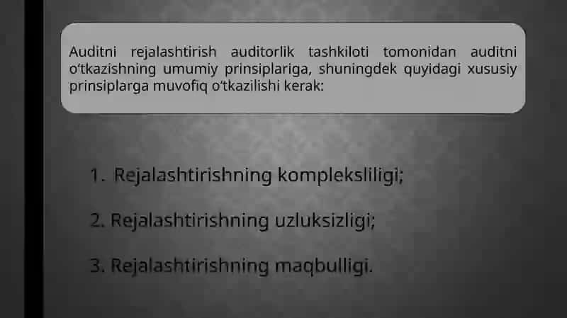 Auditorlik umumiy rejasi va auditorlik dasturini tuzish tartibi 3