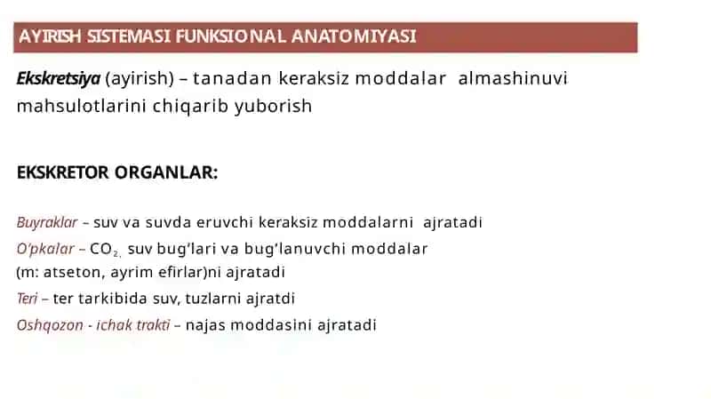 AYIRISH SISTEMASI 3