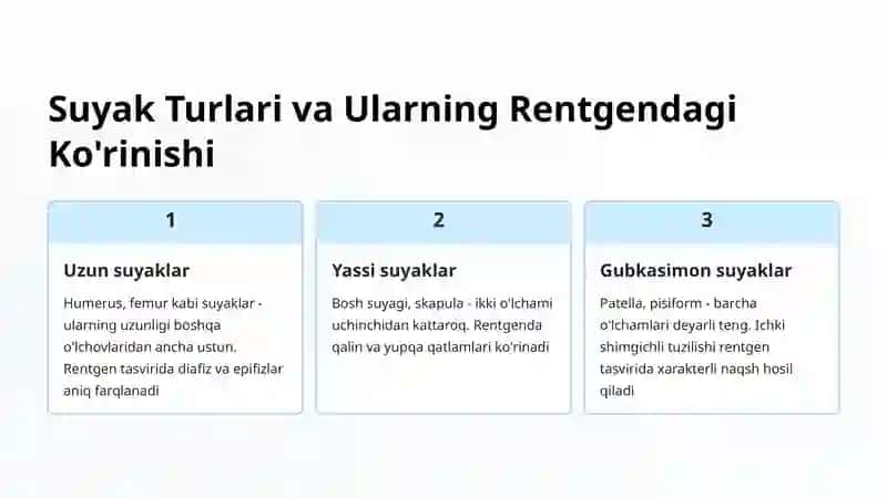 Rentgen Anatomiyasida Suyaklar 3