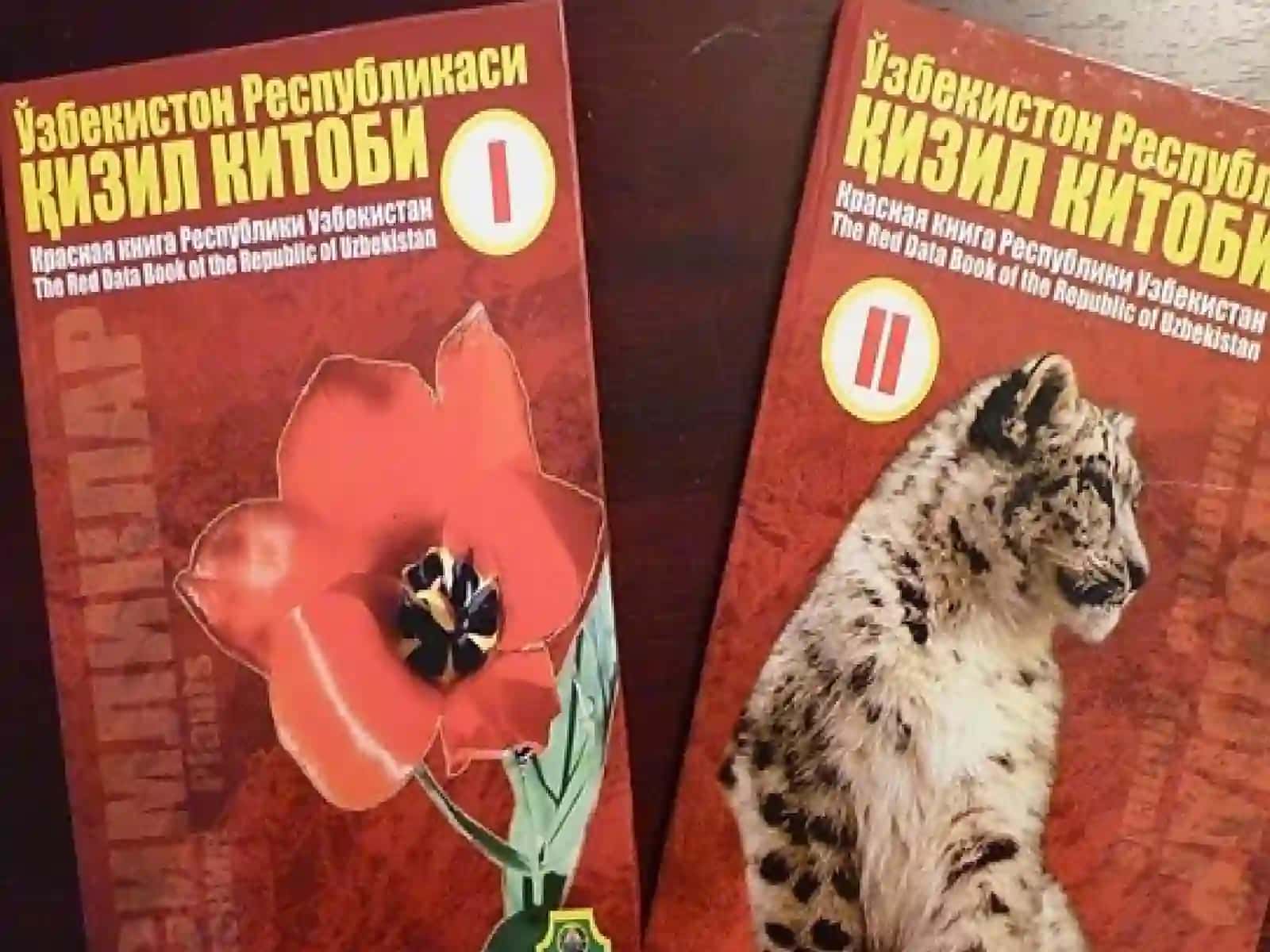 Qizil kitob 3