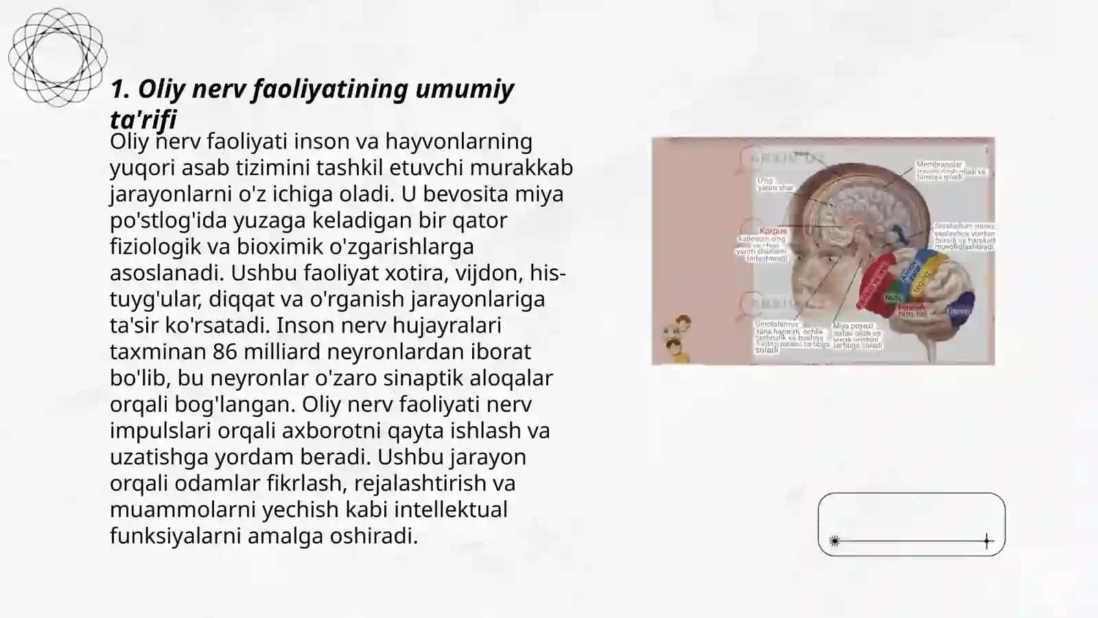 Oliy nerv faoliyatining tiplari 3
