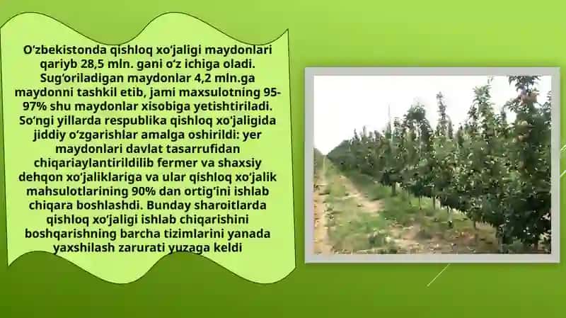 O‘zbekiston Respublikasi viloyatlarida intensiv mevali ekinlar tarqalgan zonalarga qisqacha tavsifnoma berish 3