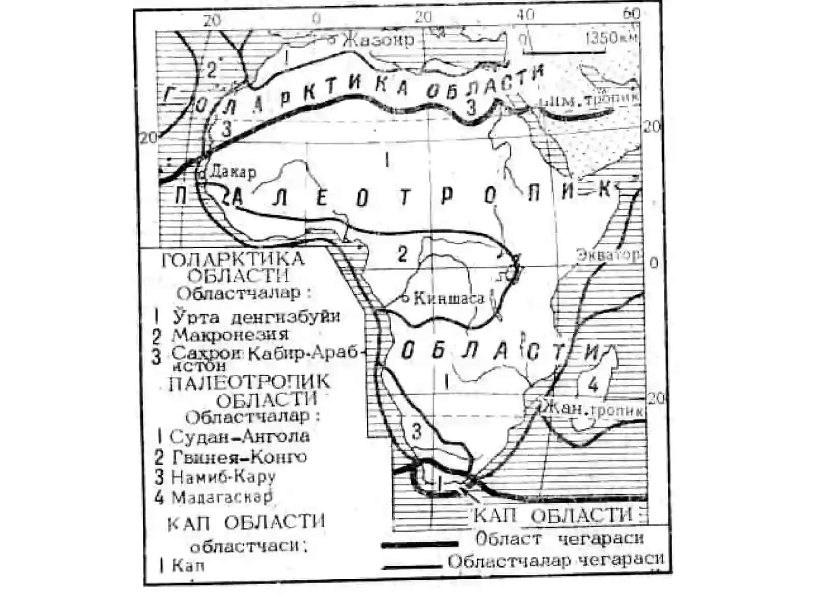 AFRIKA MATERIGINING FAUNISTIK ОBLASTLARI, HAYVОNОT DUNYOSINING O’ZIGA ХОS ХUSUSIYATLARI 3
