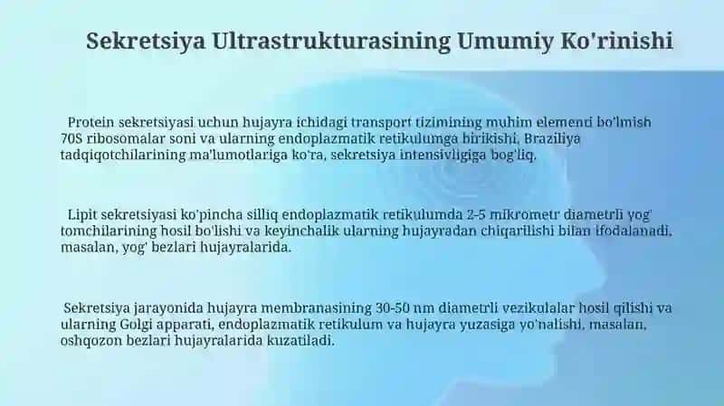 Bez sekretsiyasining ultrastruktura asoslari 3
