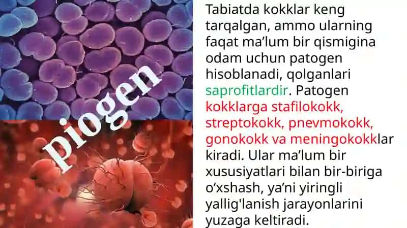 Yiringli yallig‘lanish jarayonlarini keltirib chiqaruvchi mikroorganizmlar 3