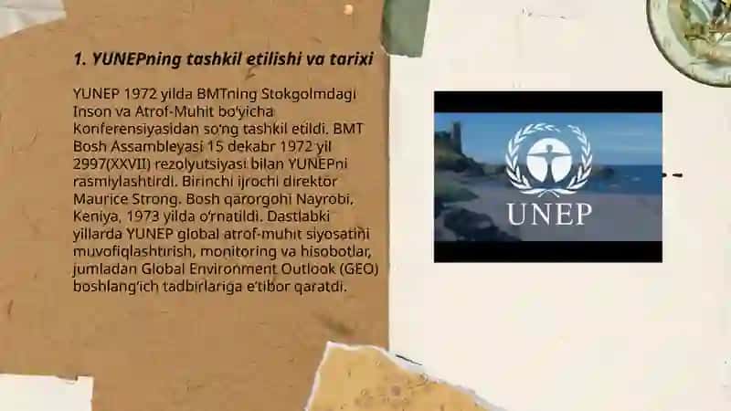 YUNEP tashkiloti haqida maʼlumot 3