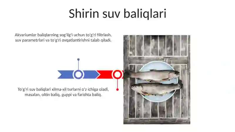 Shirin suv baliqlari 3