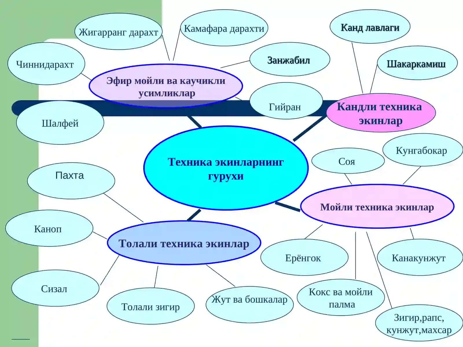 JAHON QISHLOQ XO’JALIGI TARMOQLARI GEOGRAFIYASI 3