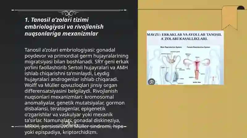 Tanosil aʼzolari tizimi rivojlanish nuqsonlari 3