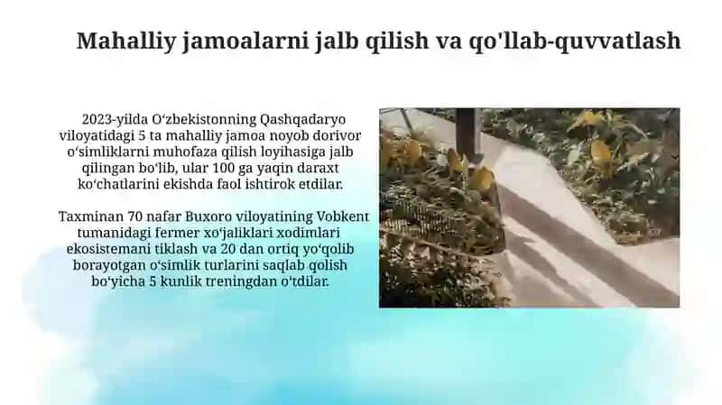 Dorivor oʻsiliklarni qayta tiklash va muxofaza qilish yoʻllari 3