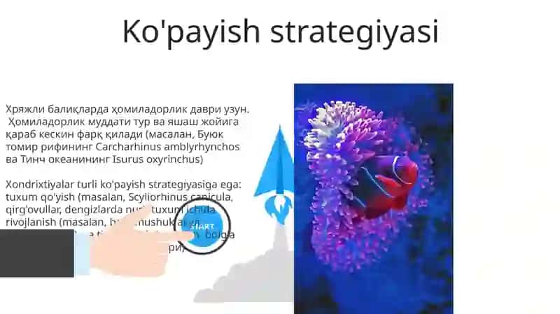Tog'ayli baliqlarning individual rivojlanishi xususiyatlari 3
