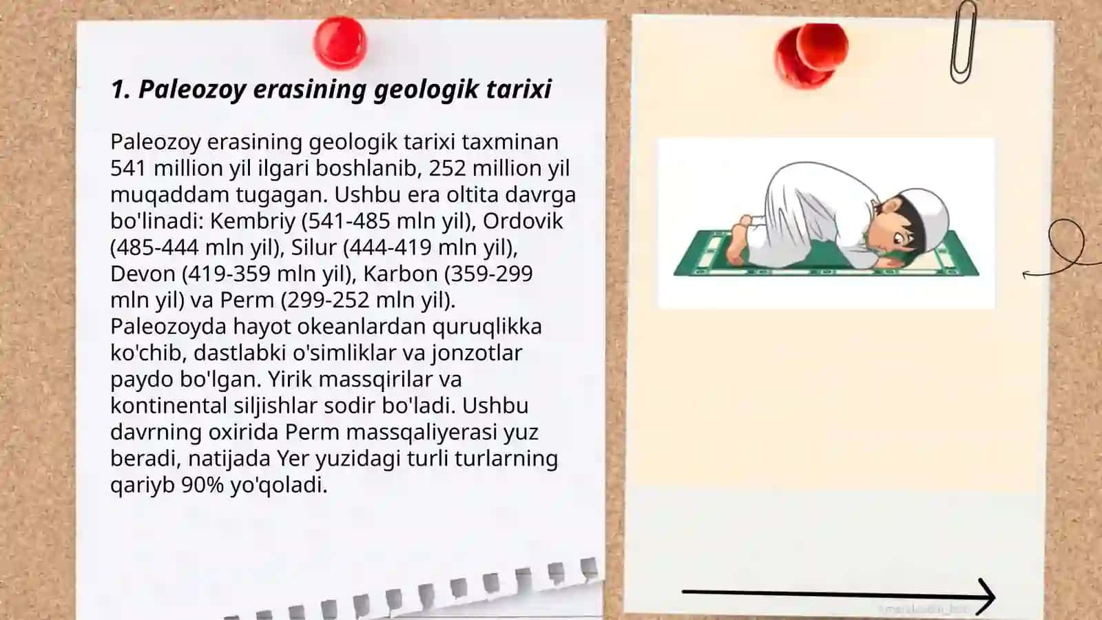 Oʻzbekistonning geologik tuzilishi 3