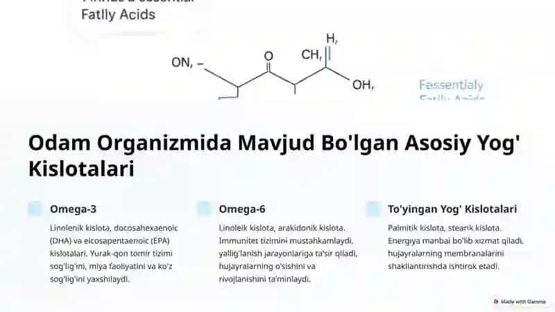 Odam To'qimasi Lipidlarining Tuzilishi va Tasnifi 3