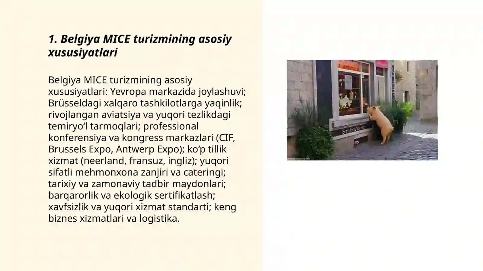 Belgiya MICE turizmi 3